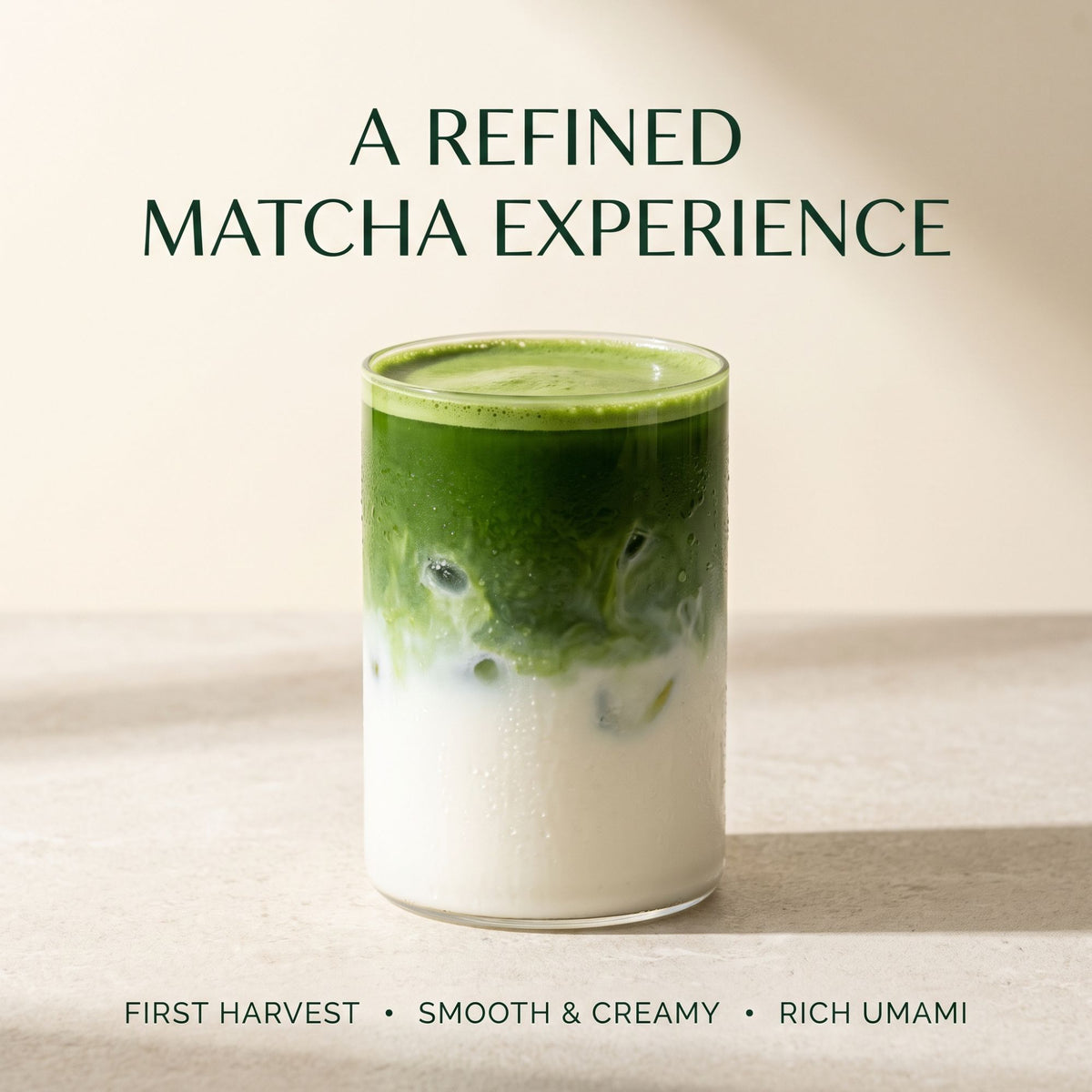 Okumidori Matcha 500g | Tea Master's Choice