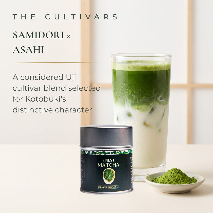 Finest AAA Ceremonial Grade Matcha Tea (Kotobuki From Uji), 30g