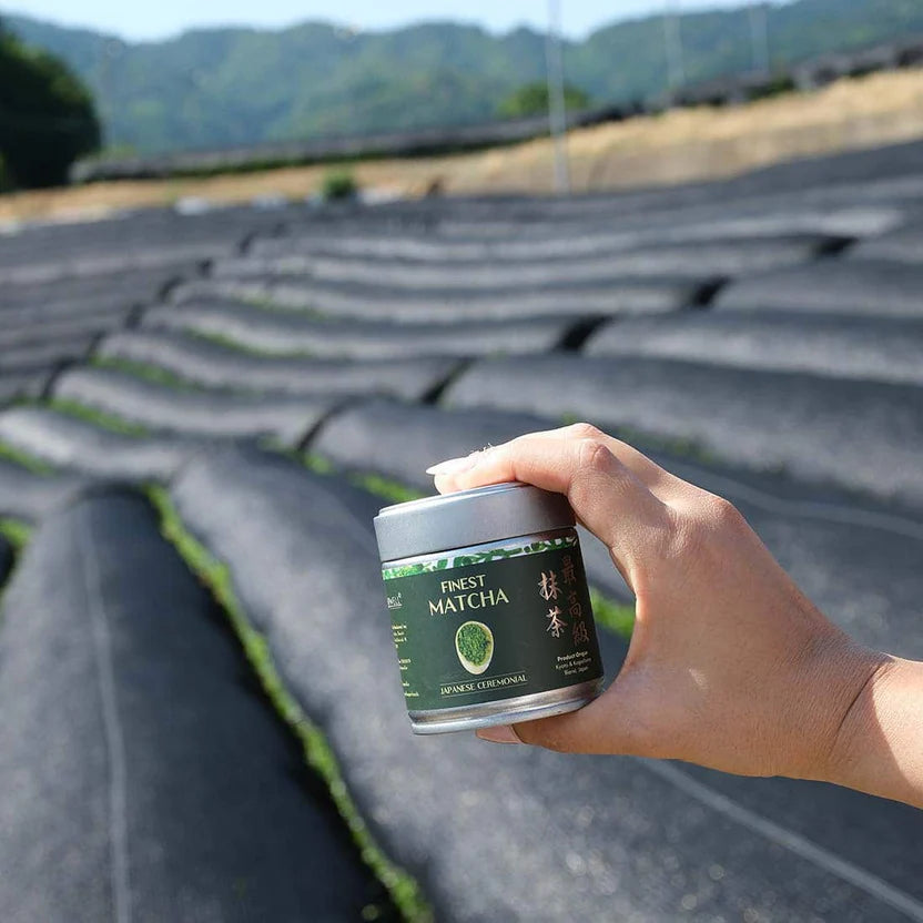 Japanese tea farm partnership photo