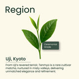Tenmyo Cultivar Uji Matcha, 30g (Collector's Edition from Wazuka)