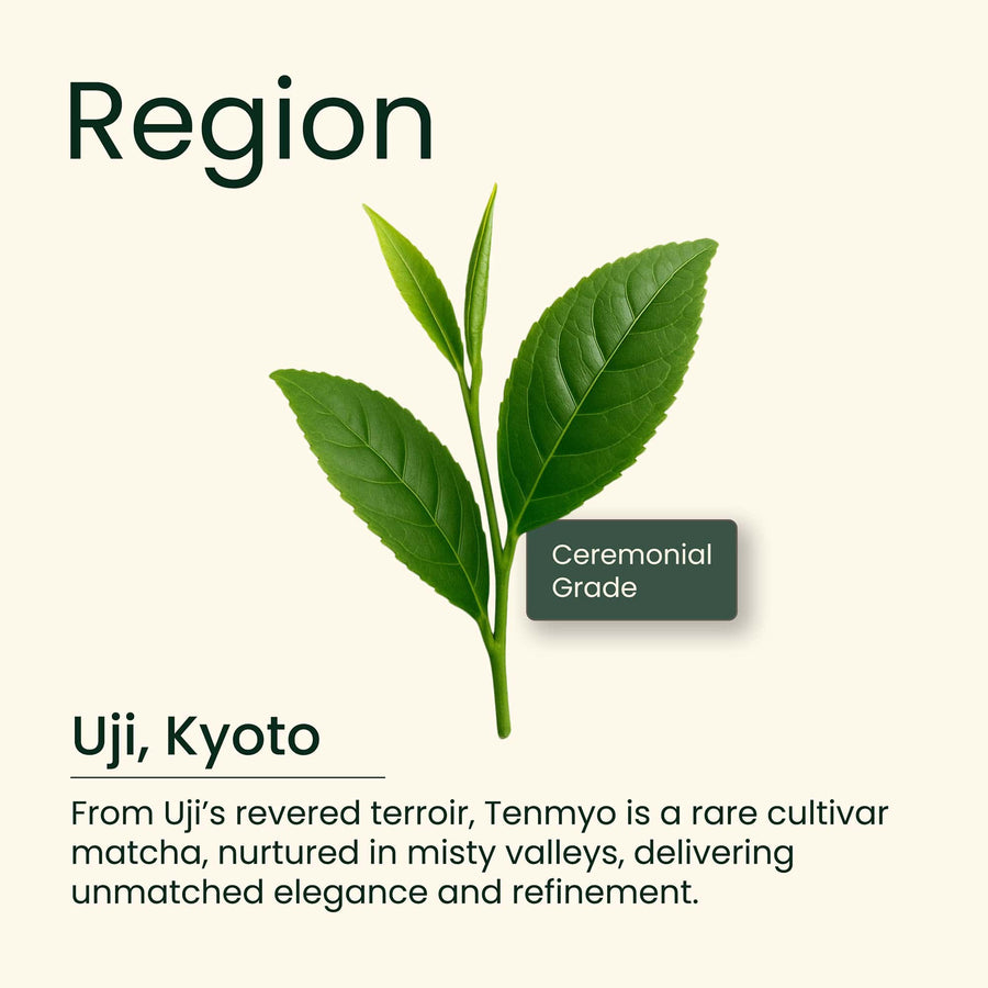 Tenmyo Cultivar Uji Matcha, 30g (Collector's Edition from Wazuka)