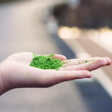buy matcha powder